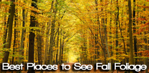 Where to See the Best Fall Foliage